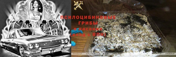 МДПВ Красноперекопск