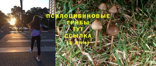 мет Краснослободск