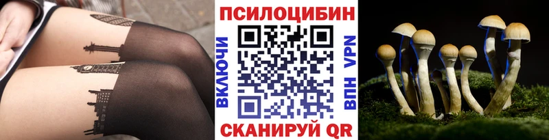 Псилоцибиновые грибы GOLDEN TEACHER Купить где Мглин
